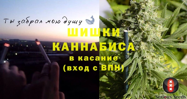 сатива Костерёво